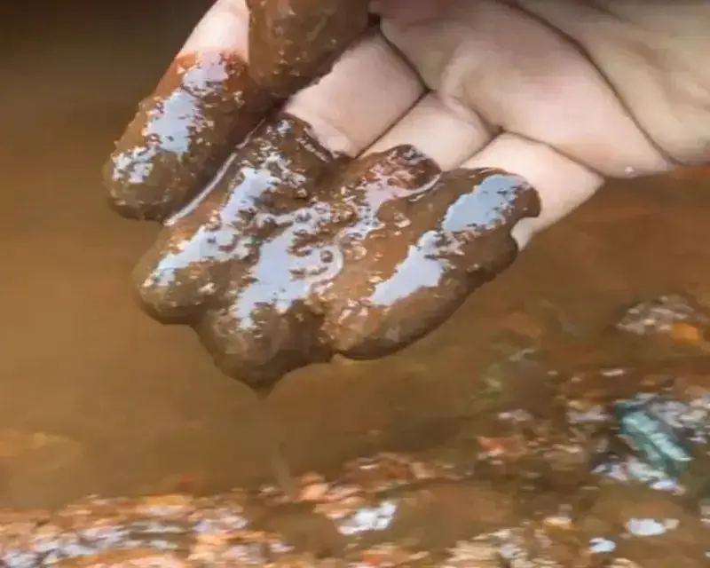 水塔「25年未清洗」冒微生物！內部狂湧「巧克力泉」驚悚畫面曝